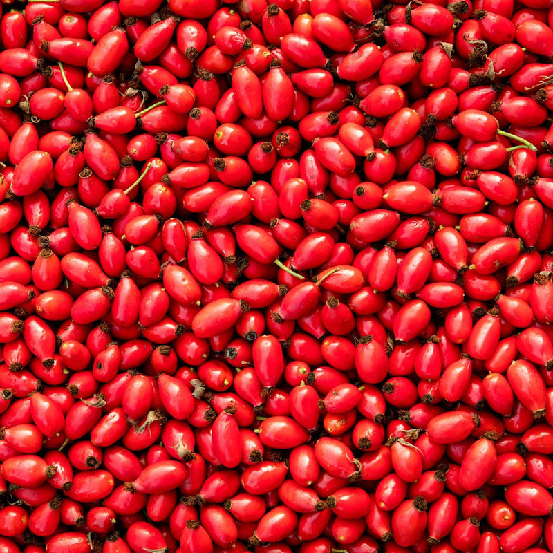 Fruits séchés de cynorrhodon (Rosa canina) bio de Plantes et Recettes, utilisés en tisane, sirop ou confiture pour profiter de leurs bienfaits traditionnels