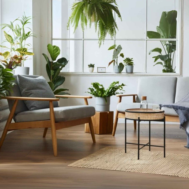 Fenêtre intérieure ornée de plantes comme le lierre ou la fougère, avec des gouttes de condensation visibles sur la vitre. Plantes & Recettes