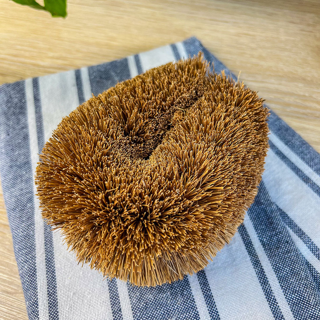 Brosse coco en fibres naturelles – Nettoyage écologique