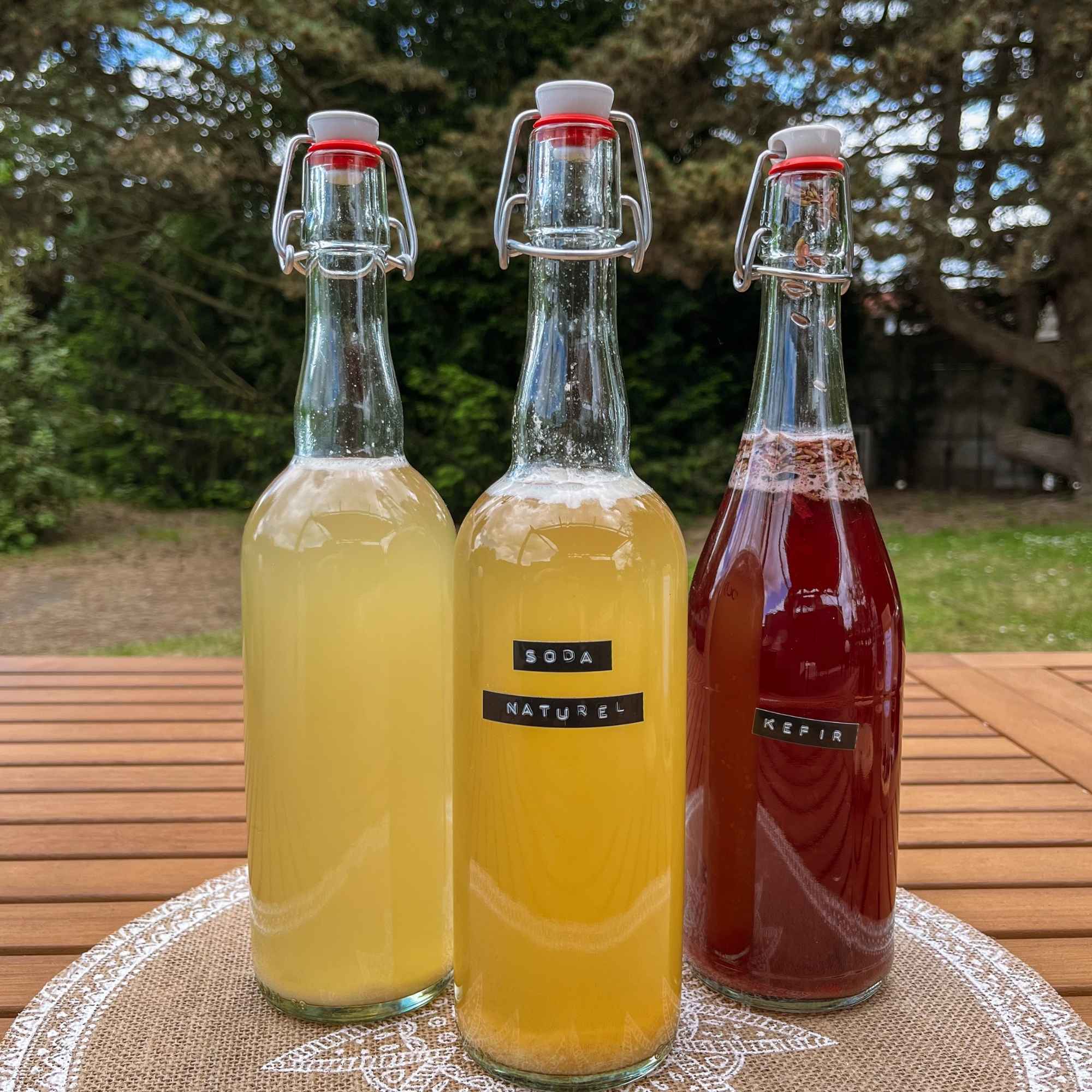 Kit kéfir en situation, avec la boisson prête à être dégustée. Un moment sain et naturel signé Plantes & Recettes.