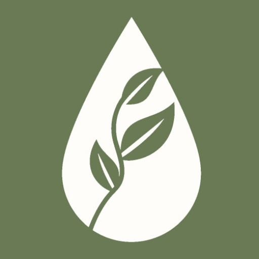 Plantes et Recettes