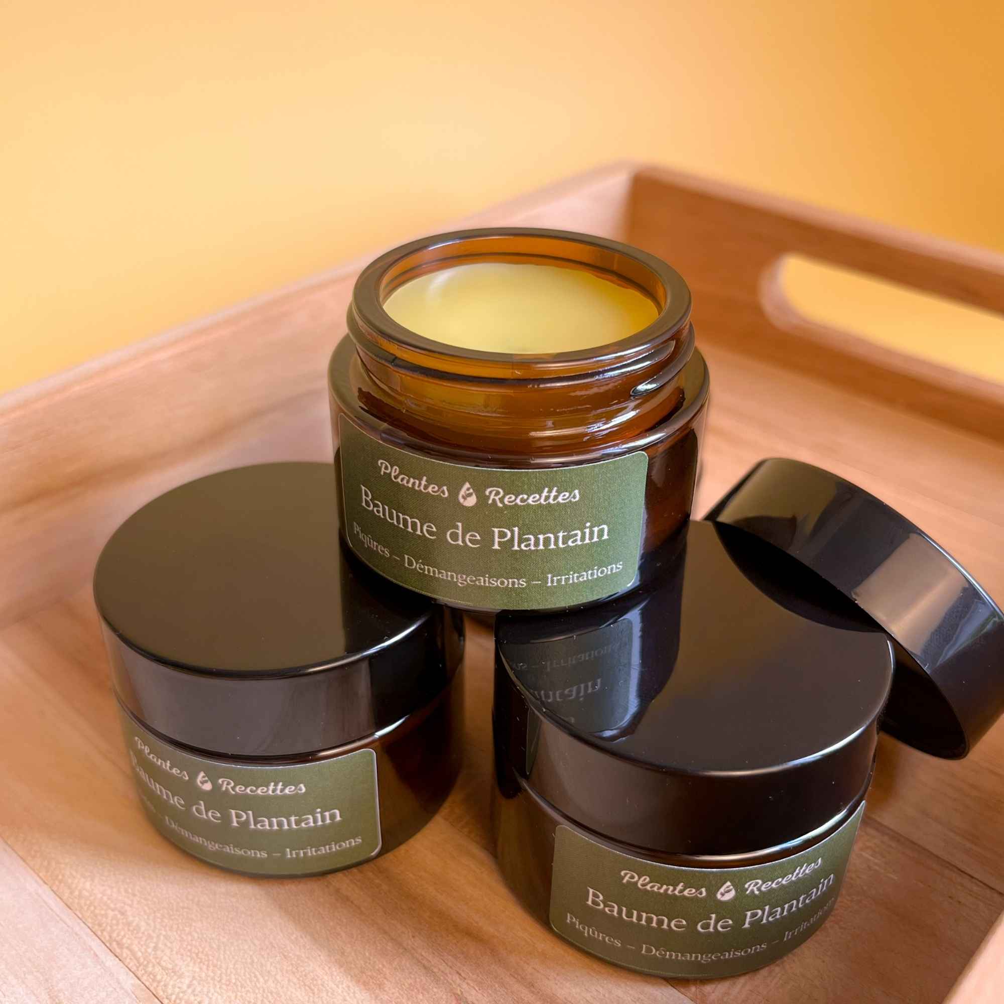 Ingrédients naturels du Baume de Plantain : huile de tournesol, plantain lancéolé, cire d’abeille, vitamine E – Plantes & Recettes.