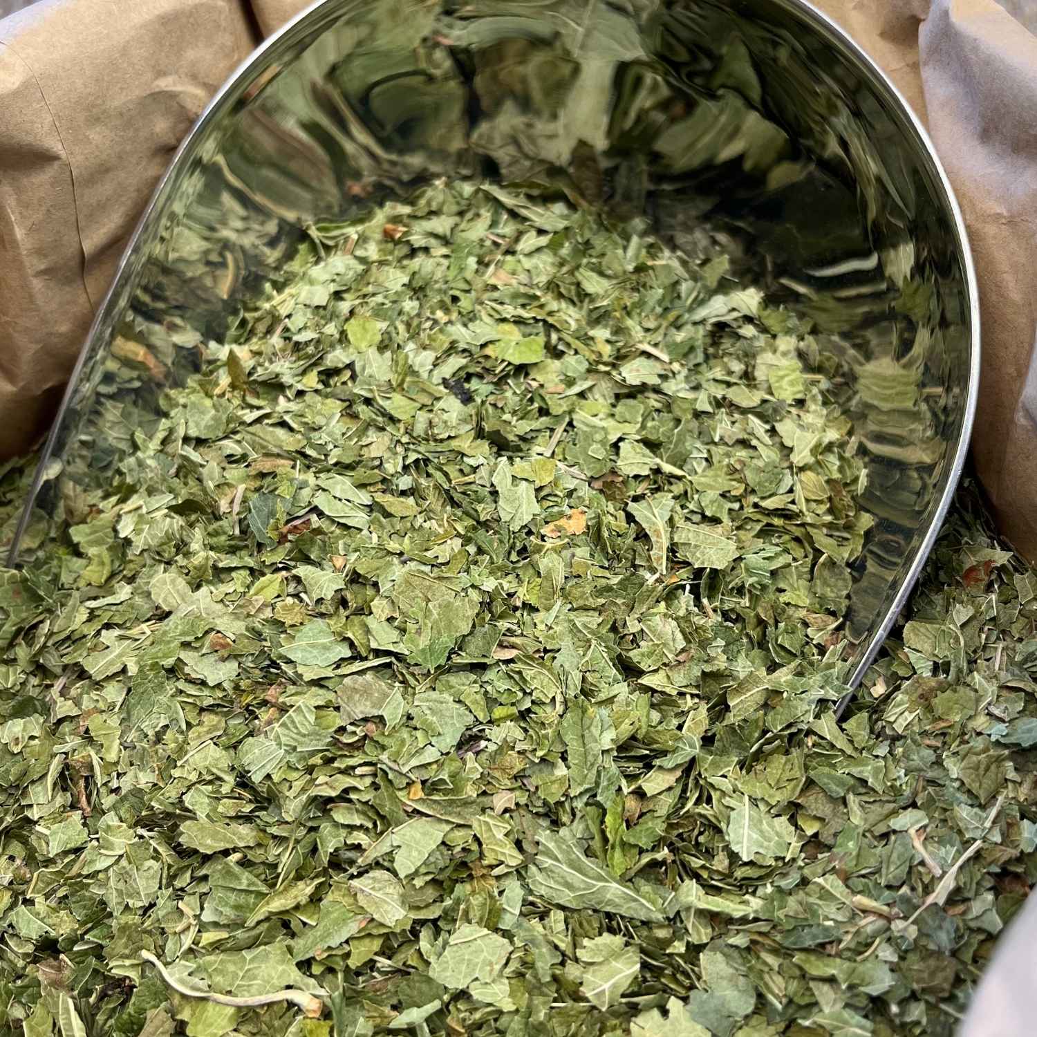 Photo de cassis feuilles bio séchée vendue par Plantes & Recettes, spécialisée en plantes médicinales de qualité.