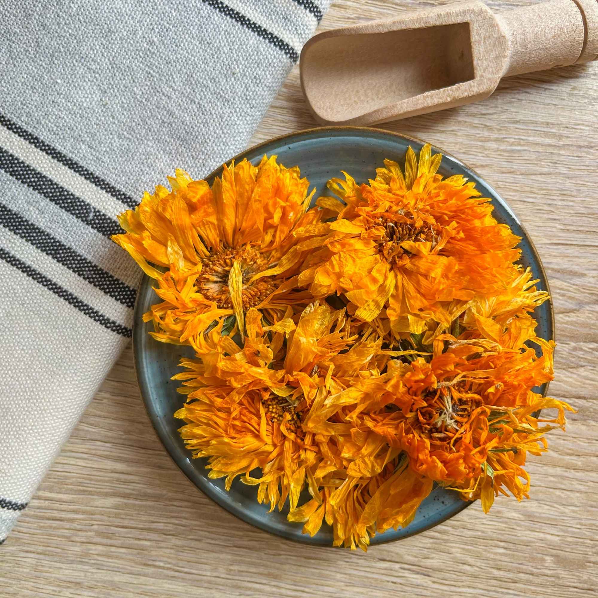 Fleurs séchées bio de Calendula officinalis cultivées naturellement – Plantes & Recettes