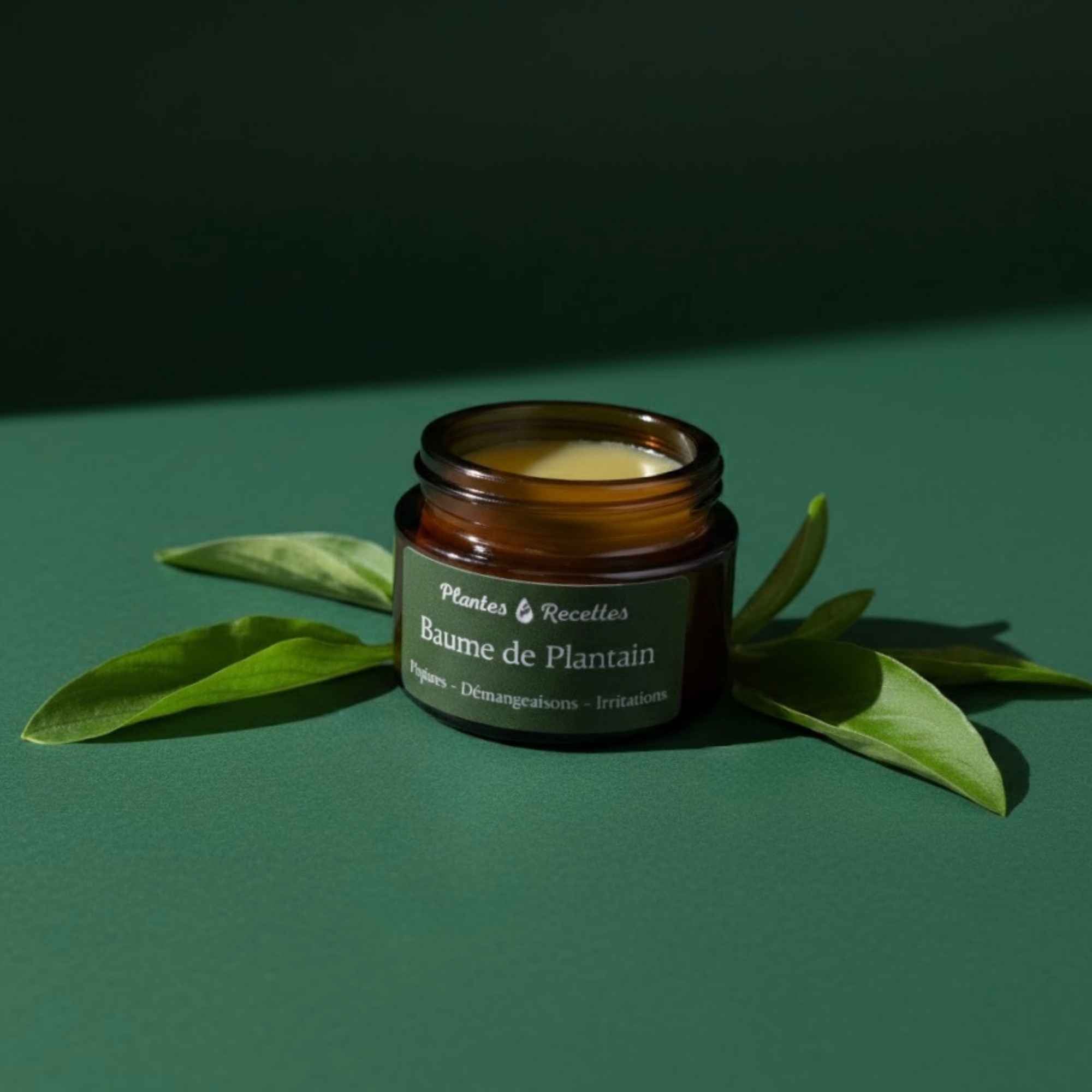Texture onctueuse du Baume de Plantain, fabriqué artisanalement dans notre atelier – Plantes & Recettes.