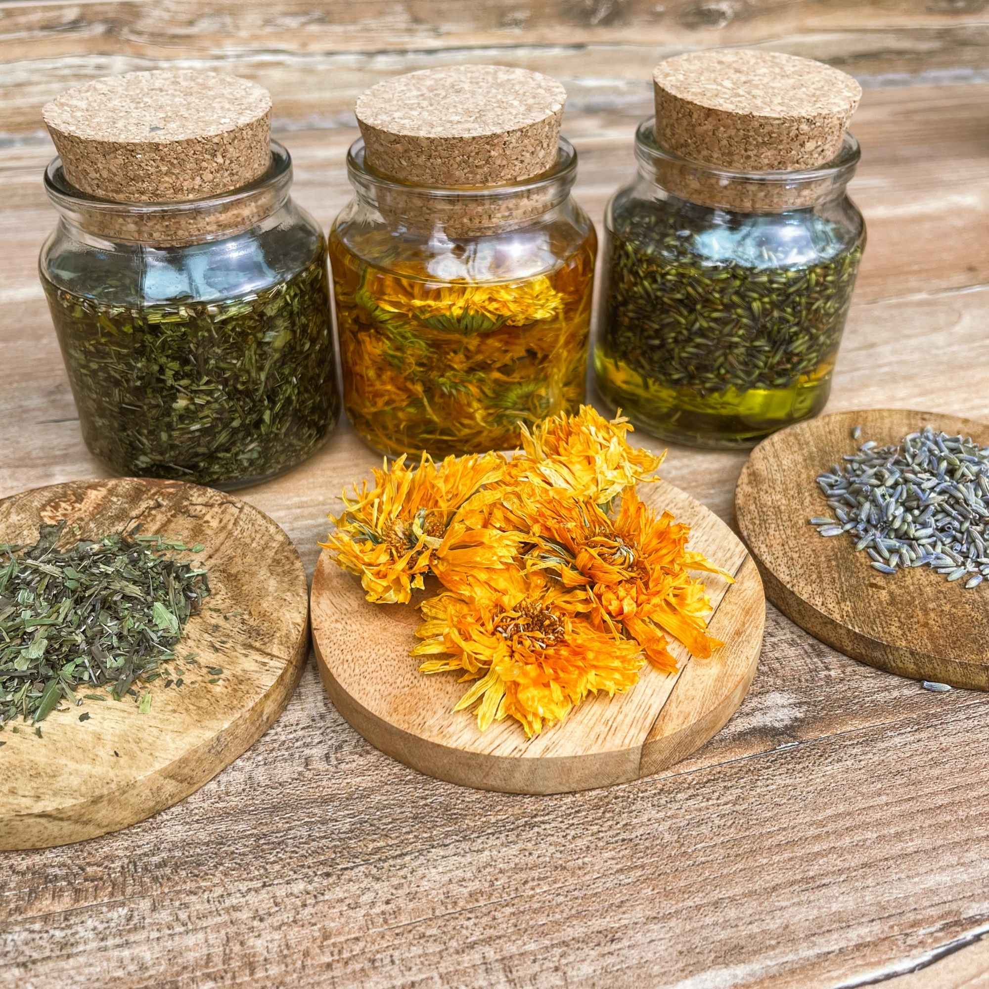 Macérâts huileux de lavandin, calendula et plantain en cours d’infusion. Une méthode simple et efficace pour fabriquer ses huiles pour la peau.