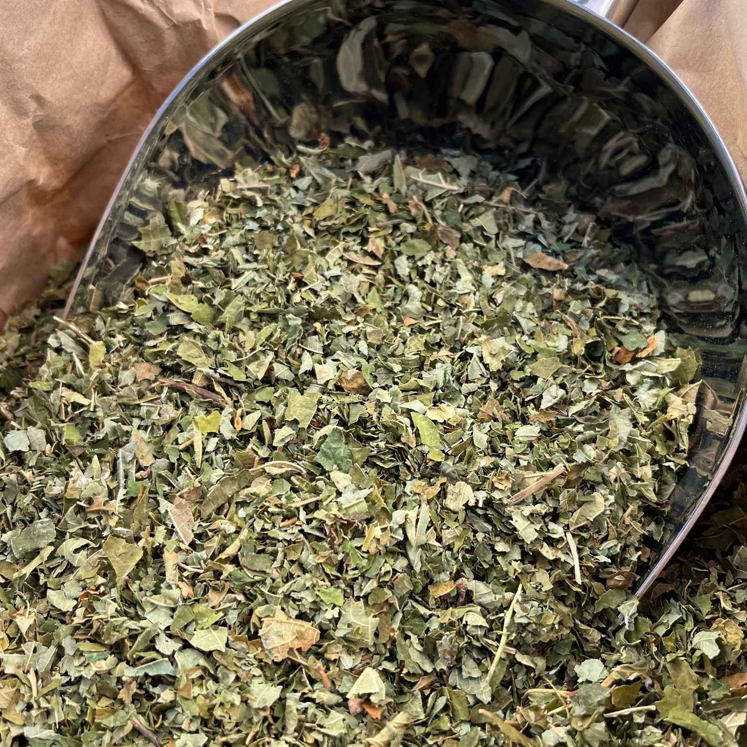 Photo de noisetier feuilles bio séchée vendue par Plantes & Recettes, spécialisée en plantes médicinales de qualité.