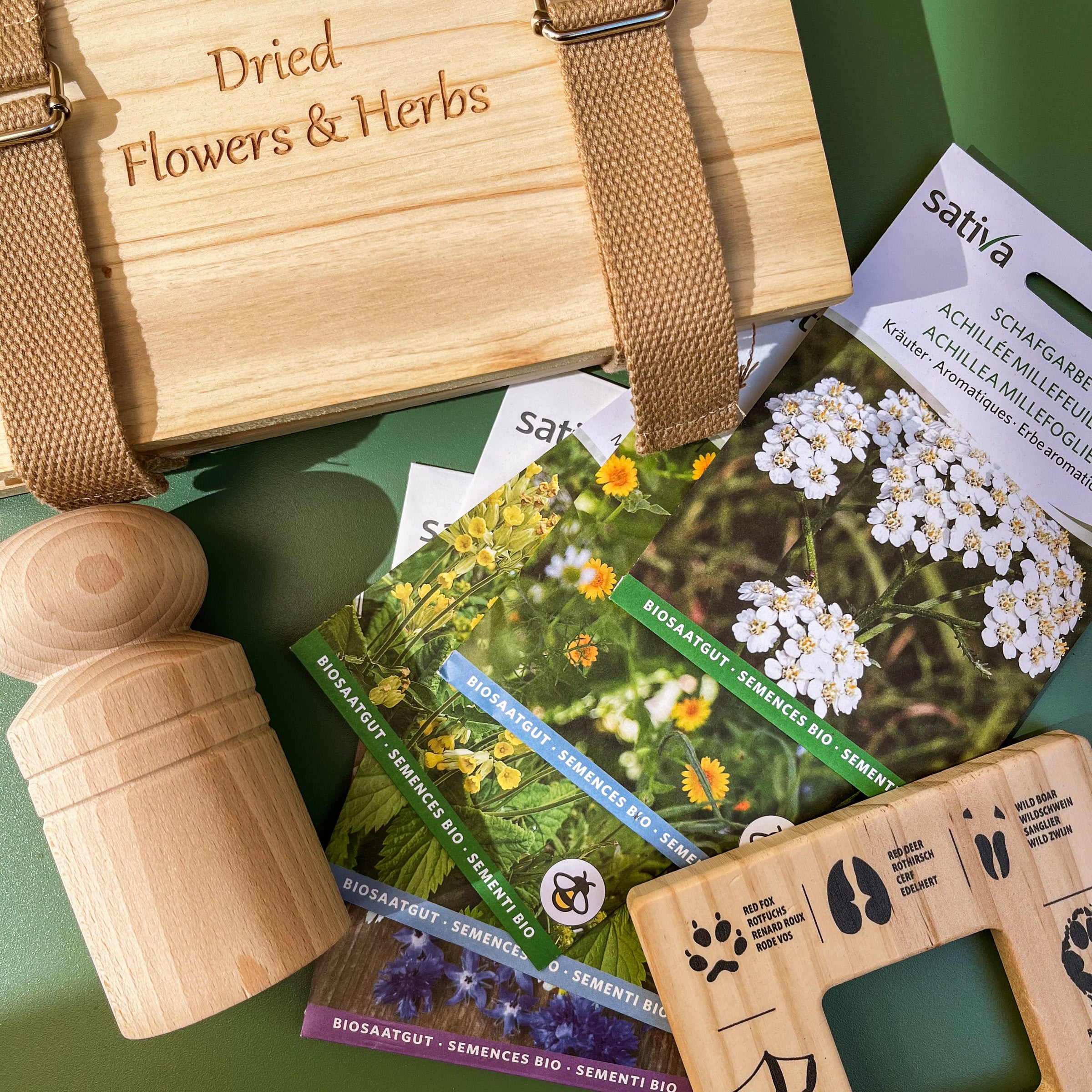 Promotions Plantes & Recettes – offres du moment sur nos plantes, soins maison et produits naturels à prix doux
