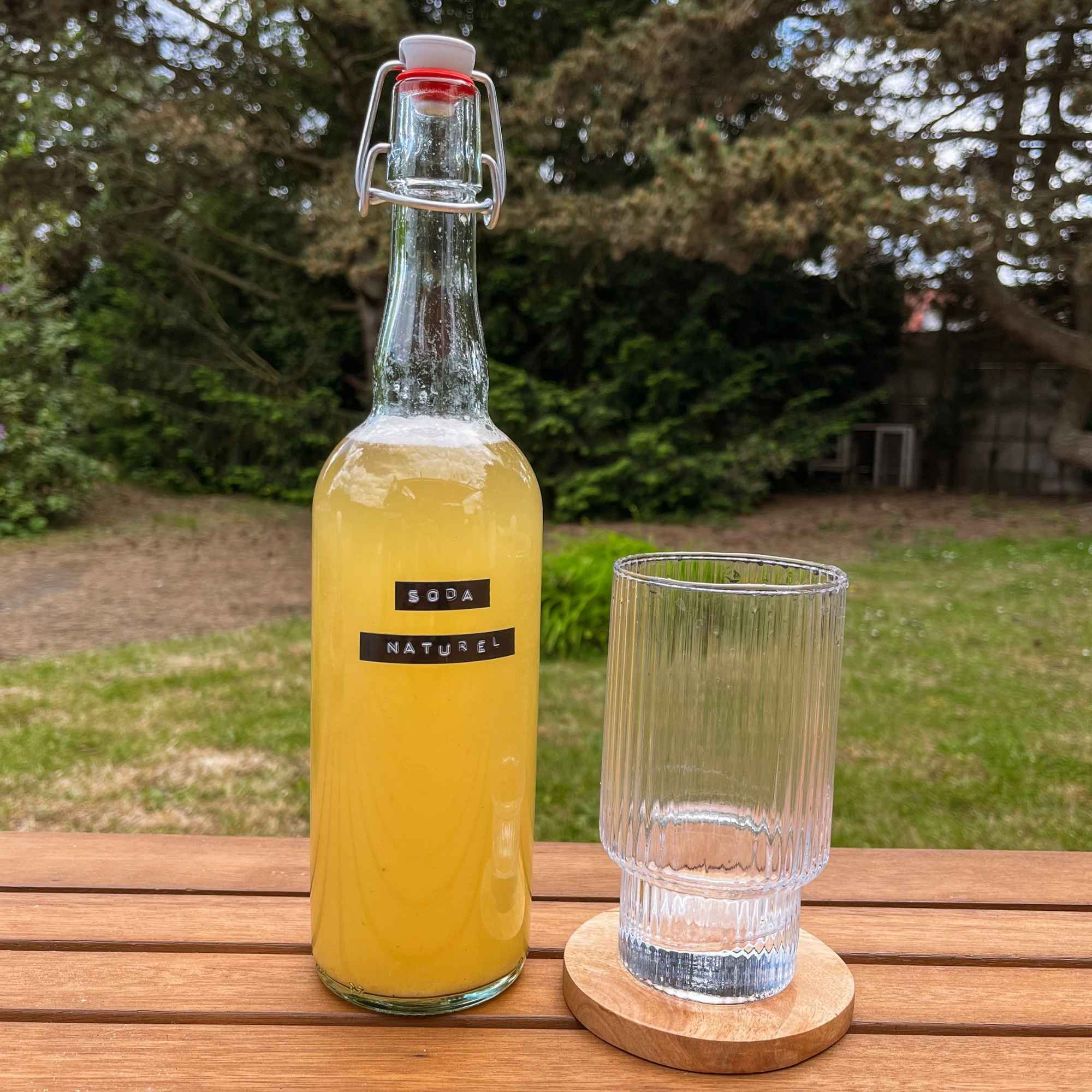 Kéfir de fruits fait maison, servi dans un verre – boisson pétillante naturelle et probiotique.