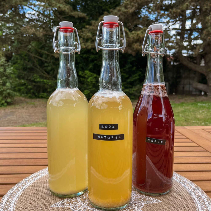 Recette – Faire son kéfir maison : un soda naturel riche en probiotiques