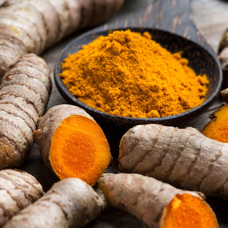 Poudre de curcuma bio dans un bol en bois à côté de rhizome de curcuma, illustrant les différences entre plante et principe actif.