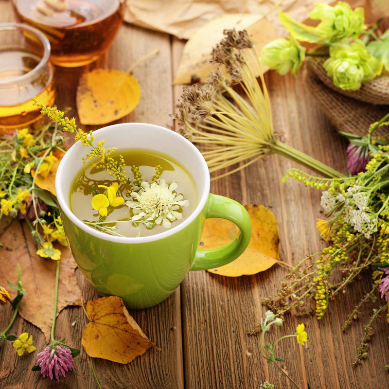 Tisane détox naturelle à base de romarin, ortie, bouleau et pissenlit pour soutenir l’organisme au printemps