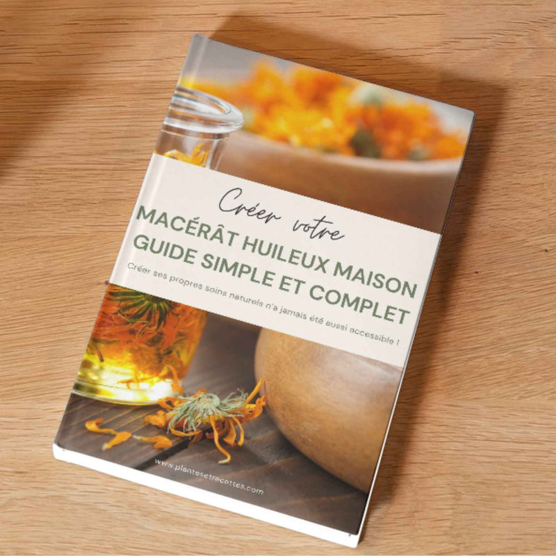 Macérats huileux maison – Guide pratique