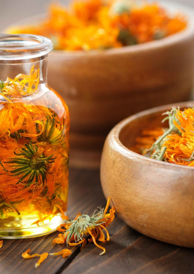 E-book Plantes & Recettes pour apprendre à fabriquer un macérât huileux maison à base de plantes médicinales, simplement et naturellement