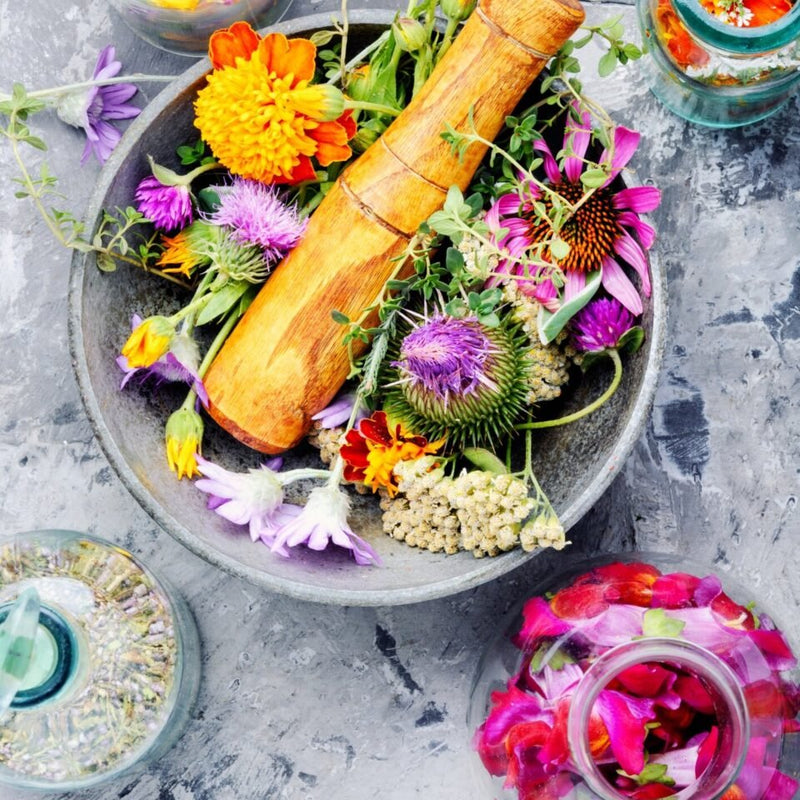 Les extraits de plantes : principes, applications et recettes maison
