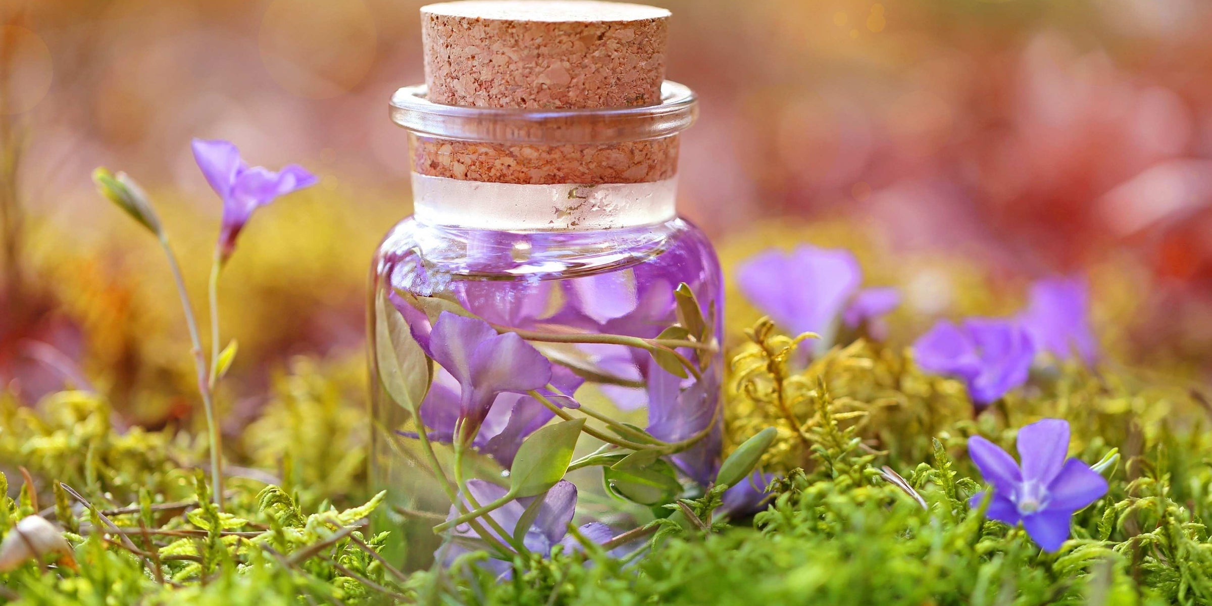 Assortiment de plantes médicinales bio et coffrets DIY proposés par l’herboristerie Plantes et Recettes, spécialiste français des soins naturels.