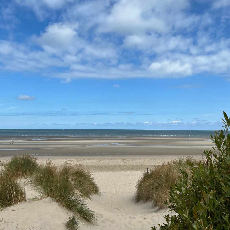 Vue dégagée sur la plage de Bray-Dunes à marée basse sous un ciel bleu