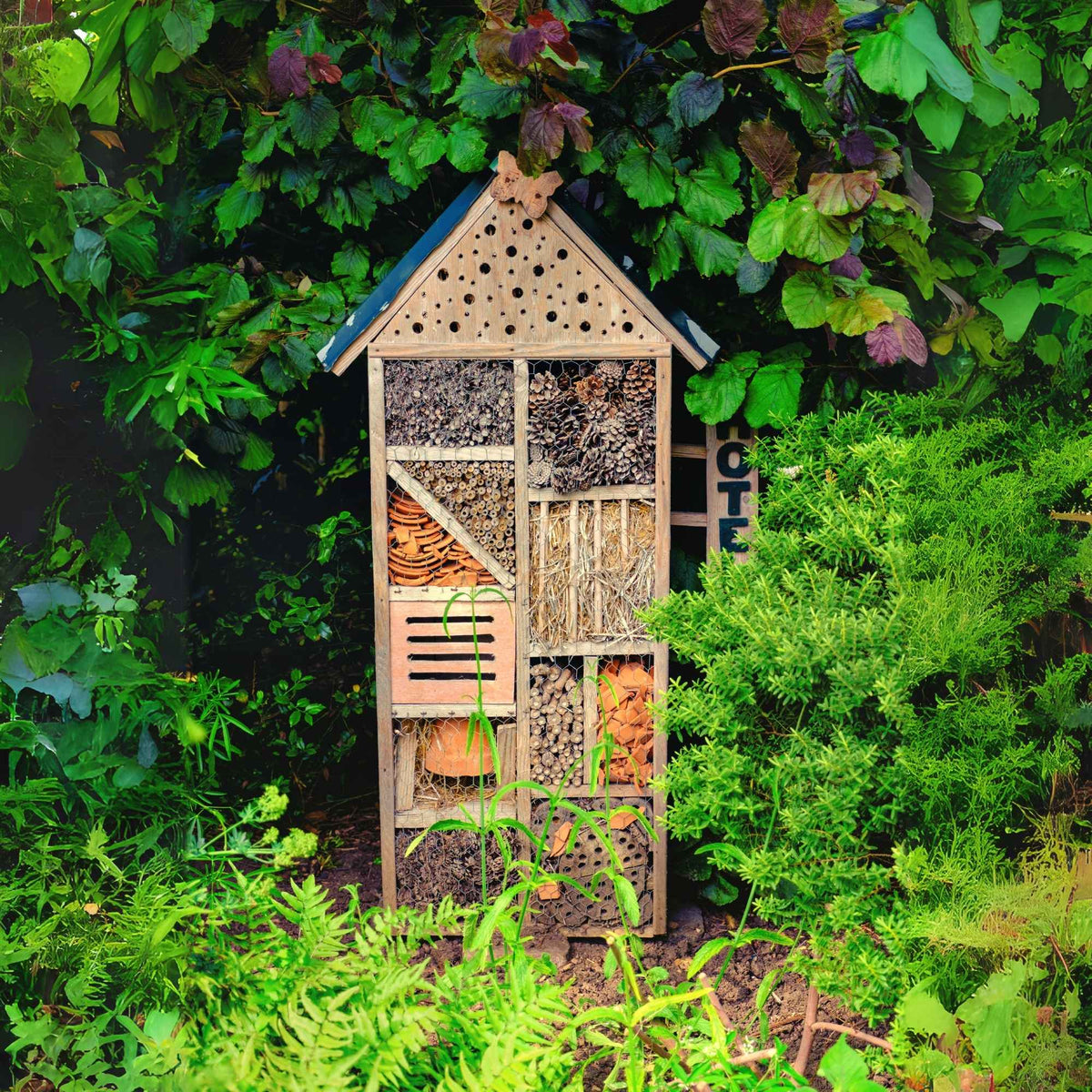 Jardin naturel avec mare, tas de bois, hôtel à insectes et fleurs mellifères attirant abeilles et papillons. Plantes & Recettes