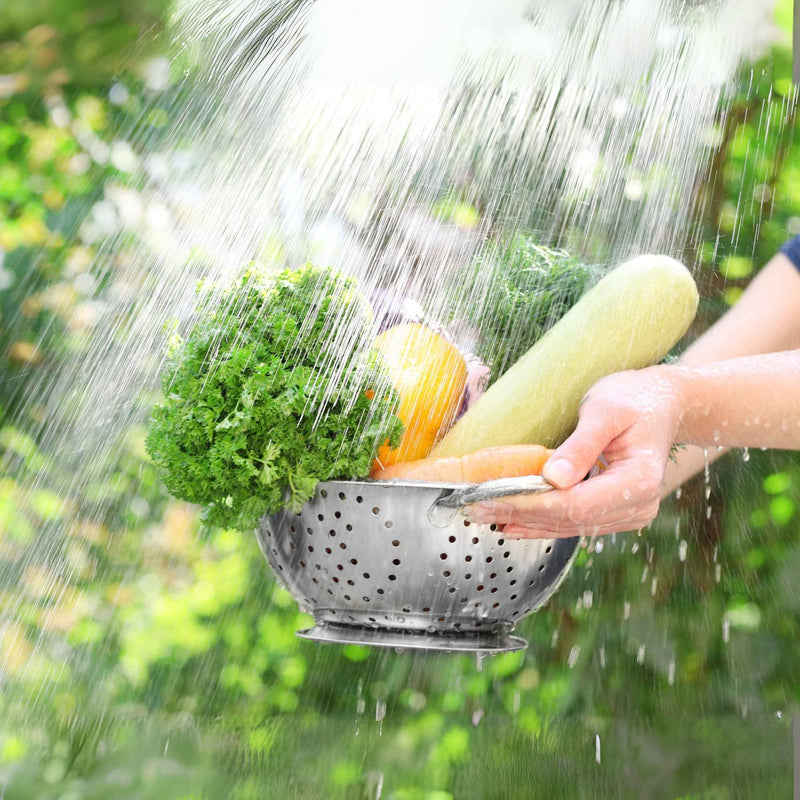 Lavage de légumes et plantes sauvages sous l’eau claire dans un jardin.