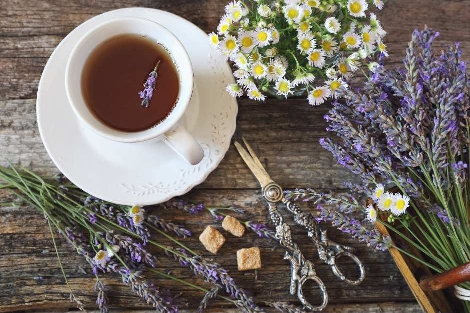 Infusion de plantes apaisantes — camomille, passiflore et lavandin — pour un meilleur sommeil naturel, par Plantes & Recettes.