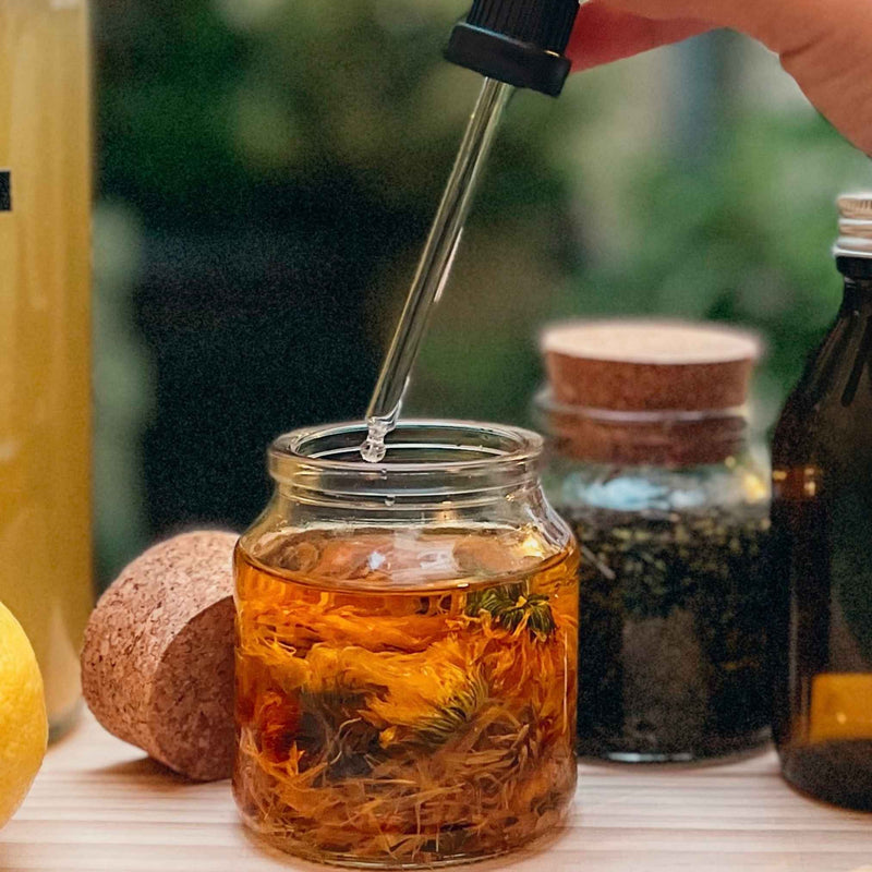 Huiles infusées naturelles aux plantes médicinales – soins d’été pour apaiser, nourrir et protéger la peau exposée au soleil.
