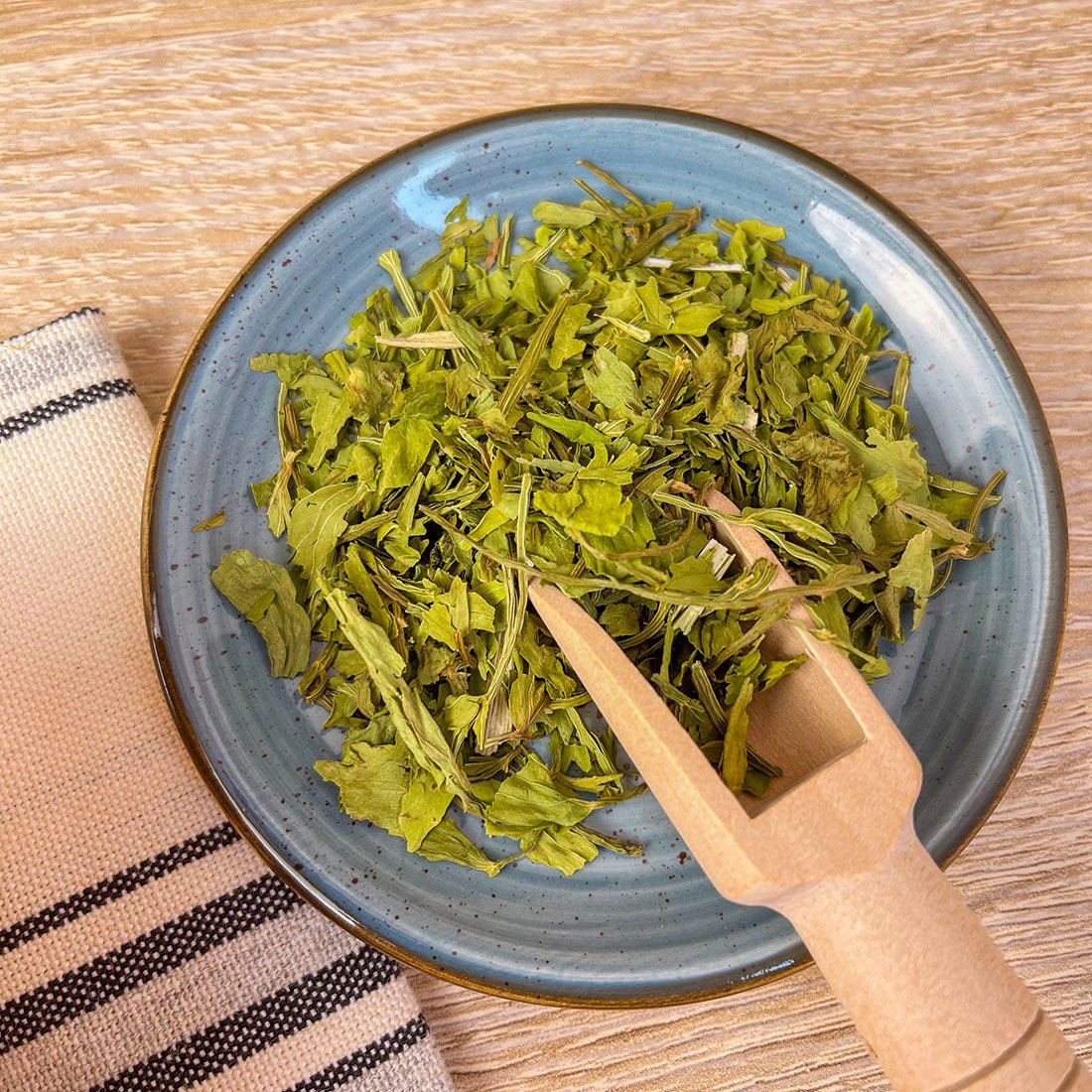 Livèche - Plantes & Recettes 