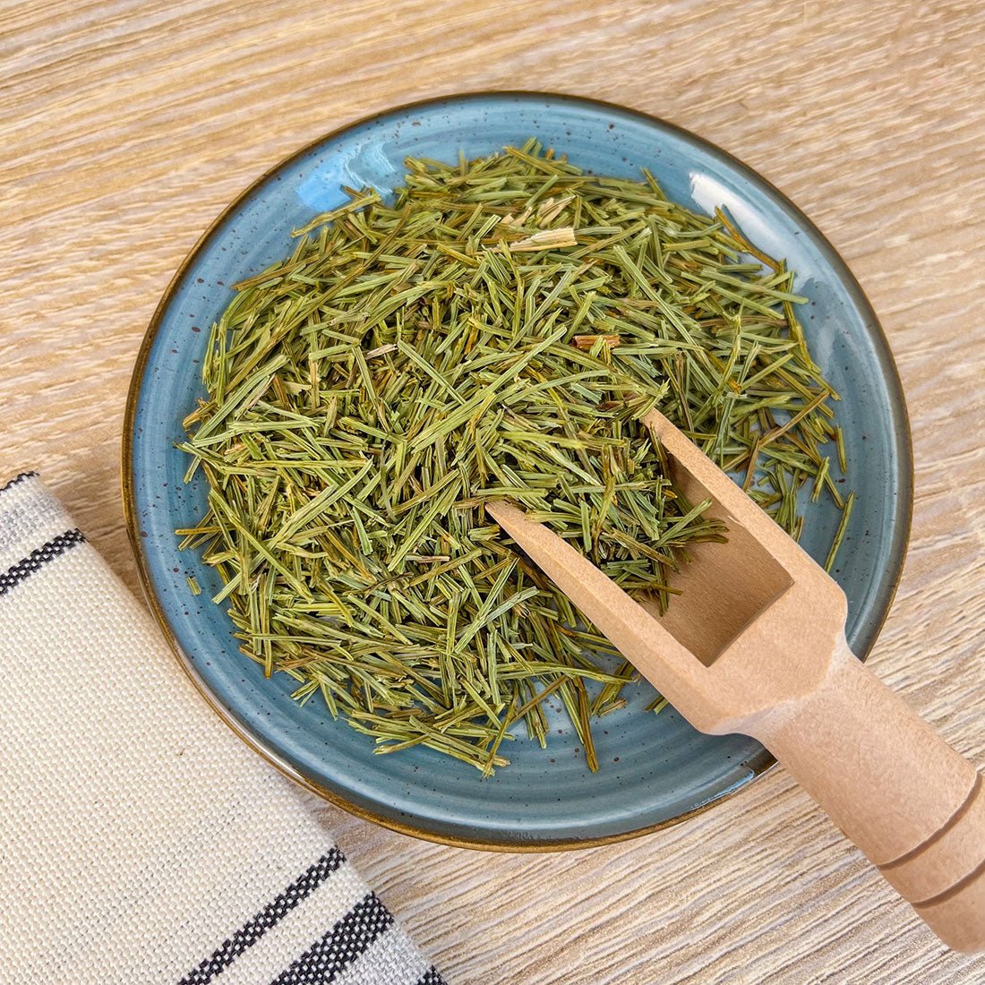 Prêle - Plantes & Recettes 