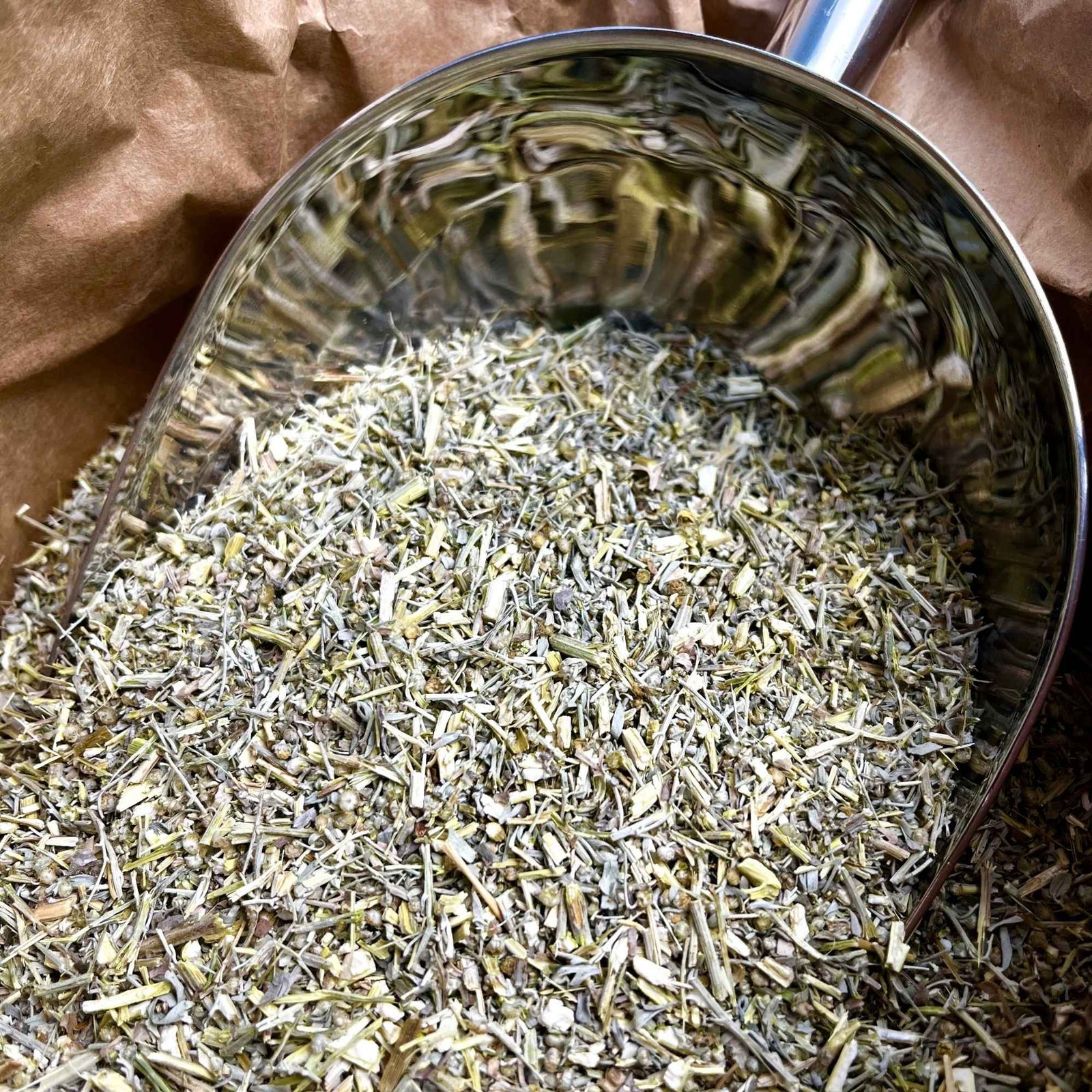Parties aériennes d'absinthe bio Artemisia absinthium pour infusion et préparations traditionnelles