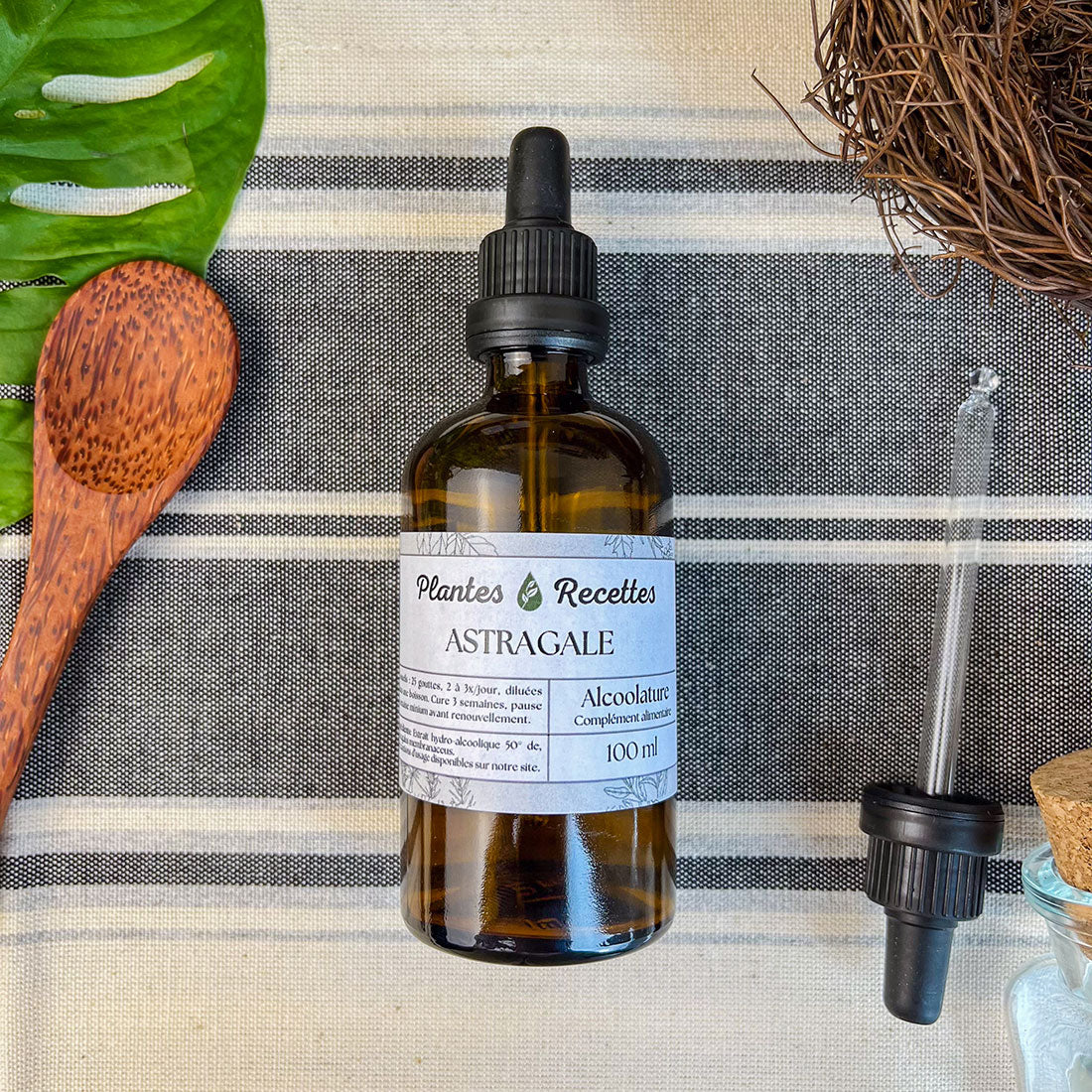 Alcoolature d'Astragale BIO - Extrait concentré de racines