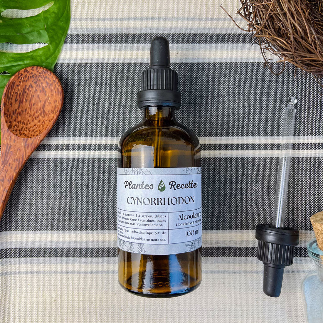 Alcoolature de Cynorrhodon BIO - Extrait concentré de baies
