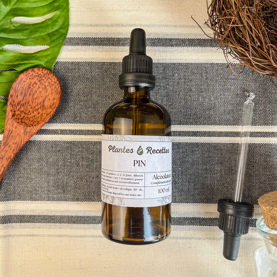 Alcoolature de Pin BIO - Extrait concentré de bourgeons