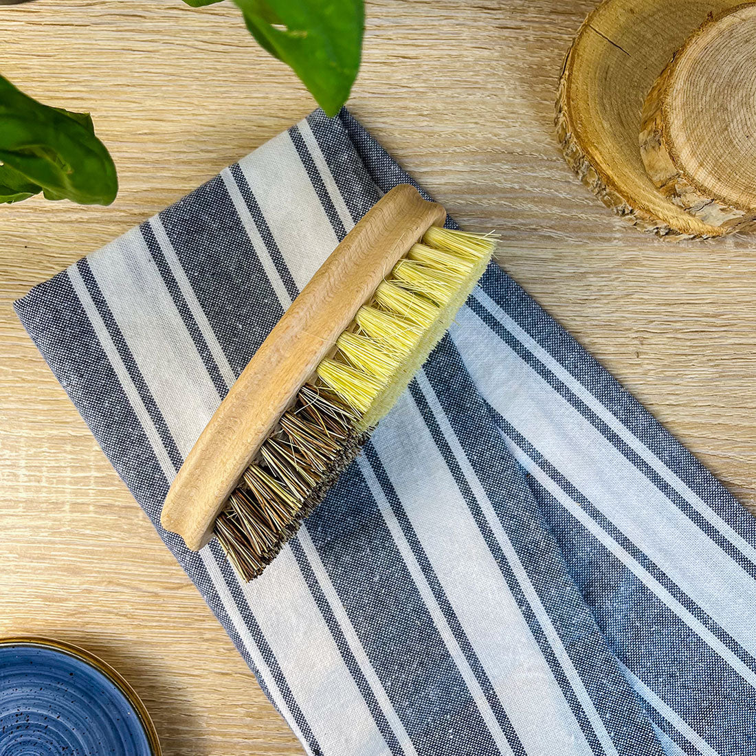 Brosse à Légumes en Bois – Fibres d’Agave et Hêtre