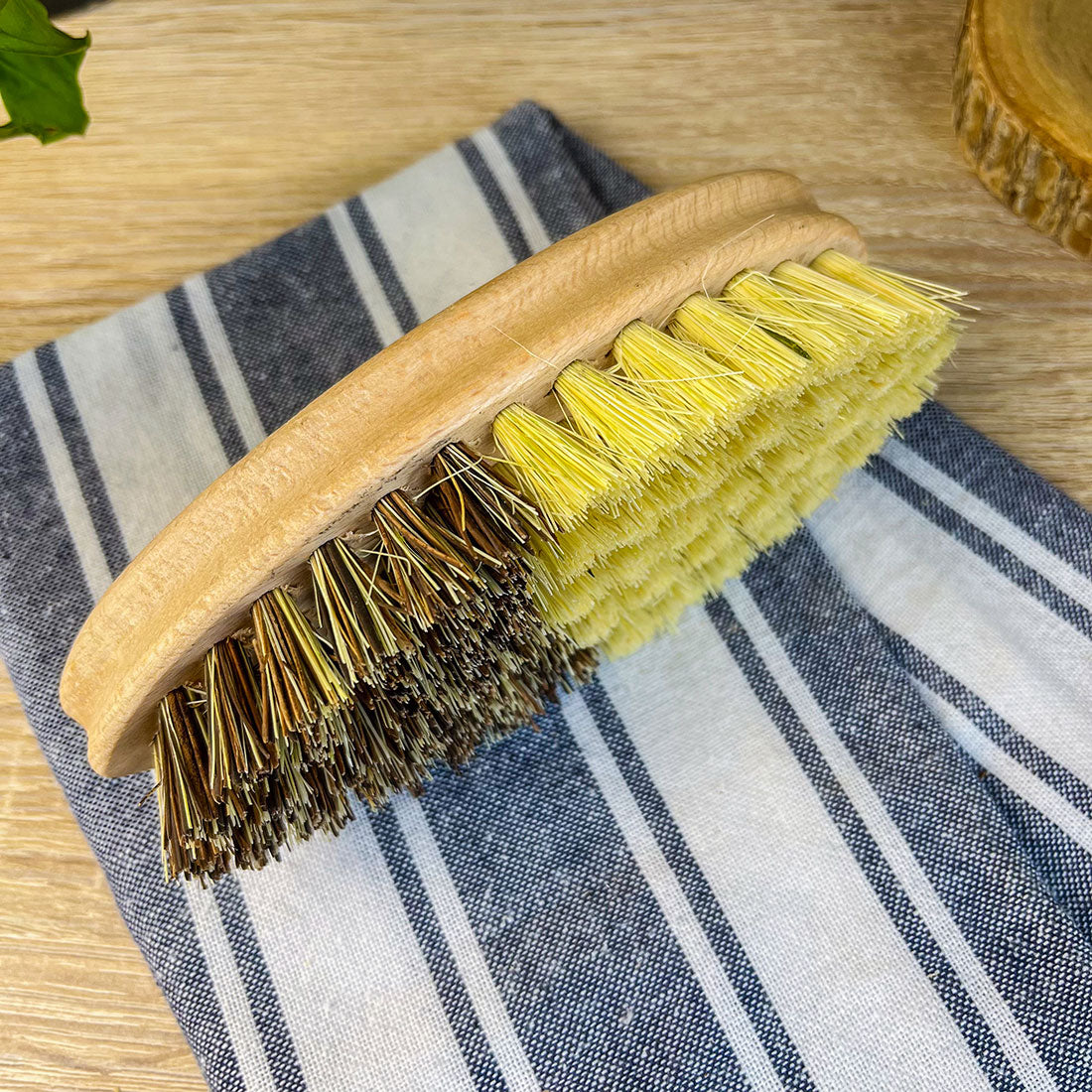 Brosse à Légumes en Bois – Fibres d’Agave et Hêtre