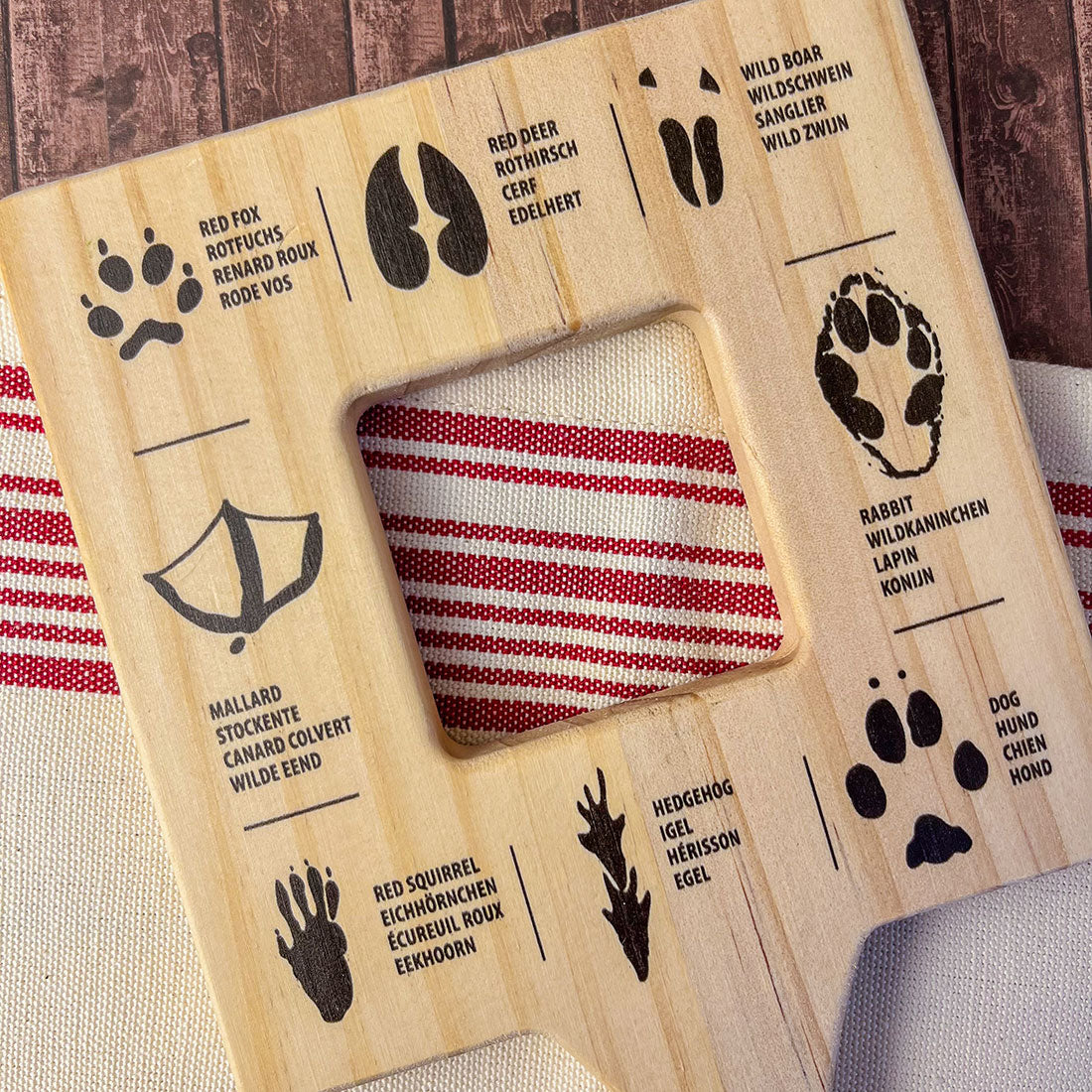 Cadre éducatif en bois – Identification des empreintes animales