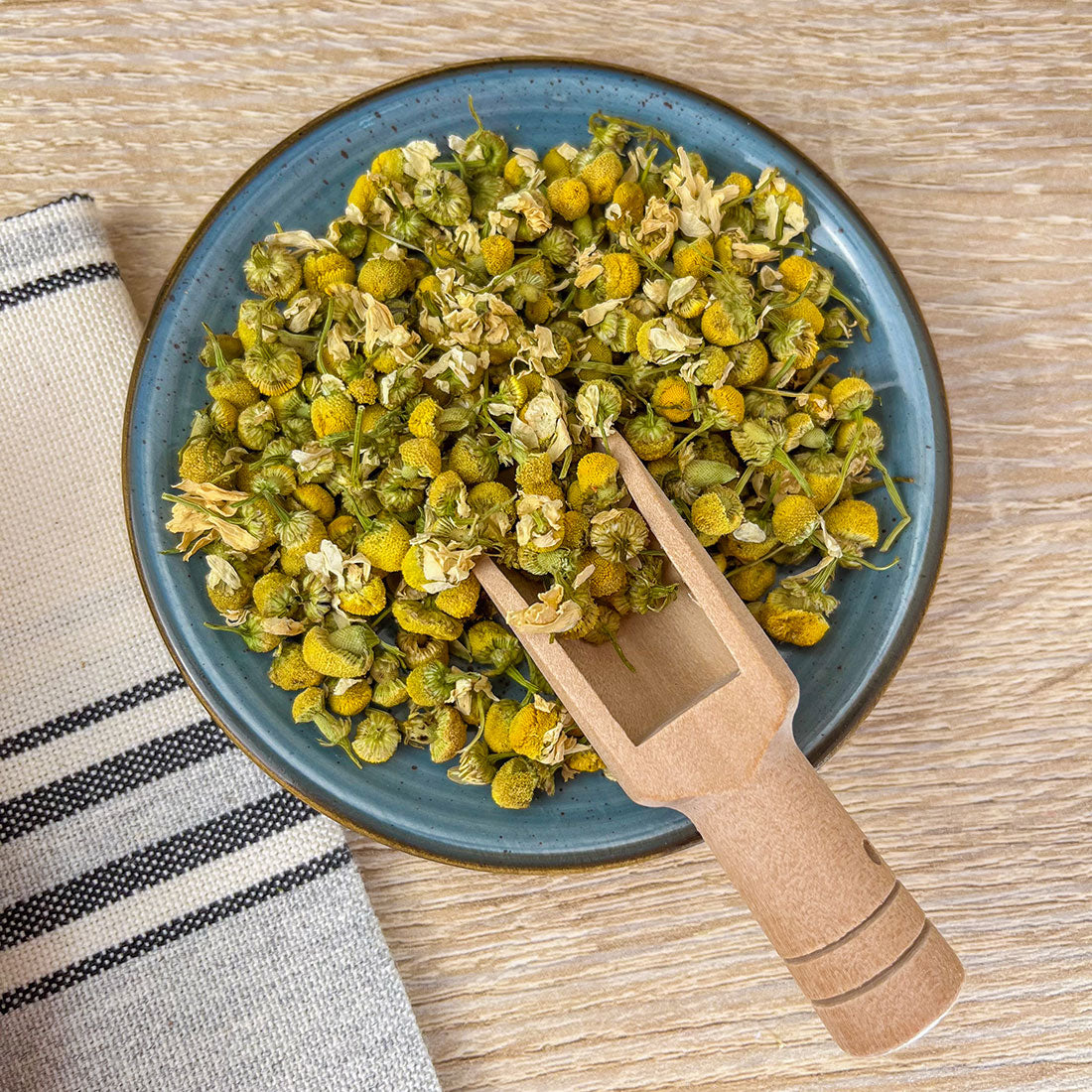 Camomille Matricaire Bio en vrac – Fleurs aux vertus apaisantes