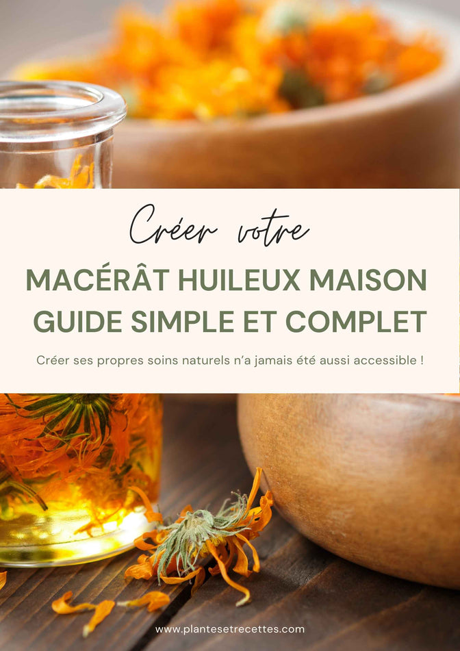 Guide Plantes & Recettes pour apprendre à fabriquer des macérâts huileux maison à base de plantes médicinales