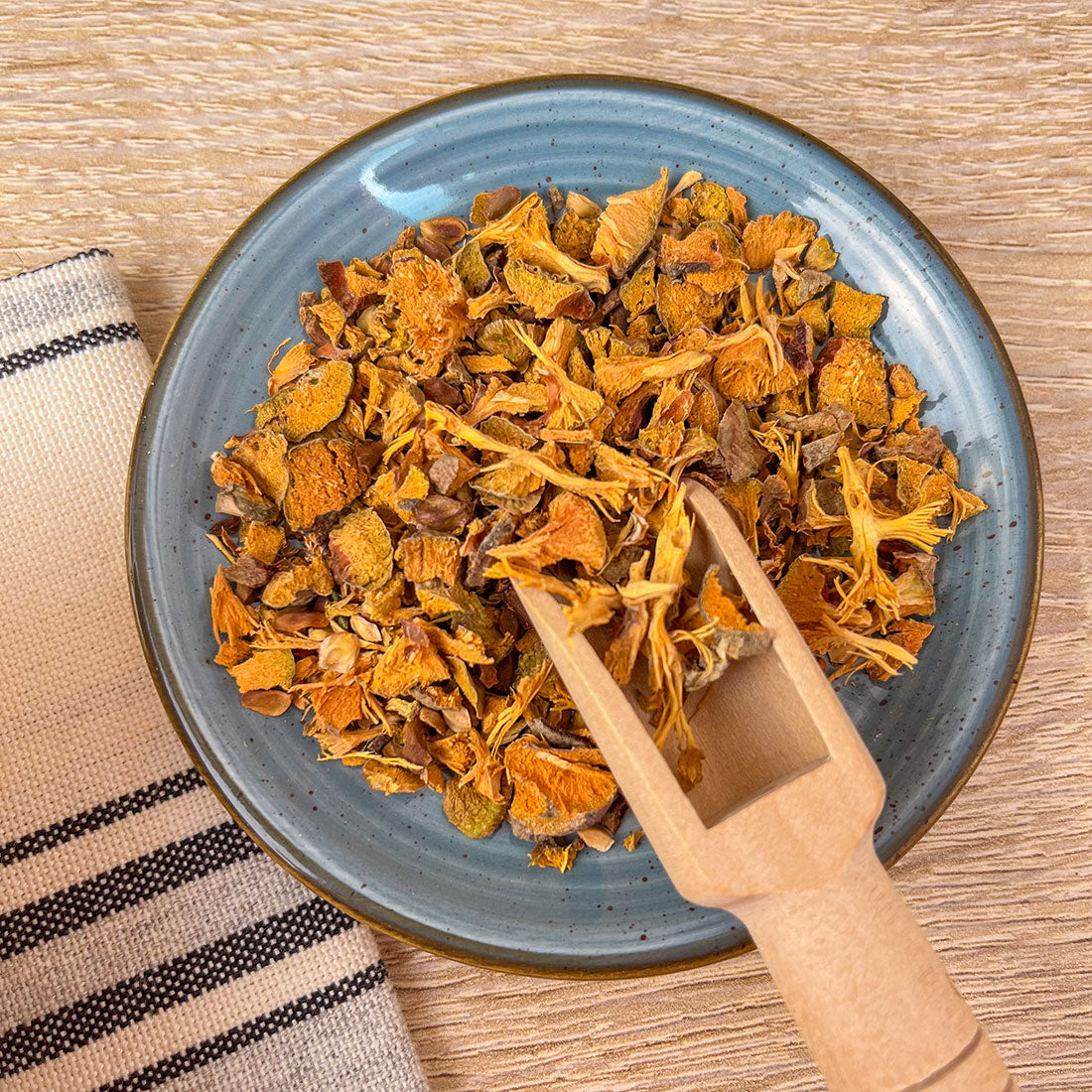 Cyprès Bio en vrac – Cônes aux vertus respiratoires