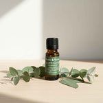 Flacon d’huile essentielle d’Eucalyptus radiata bio, 100 % pure et naturelle, Plantes & Recettes