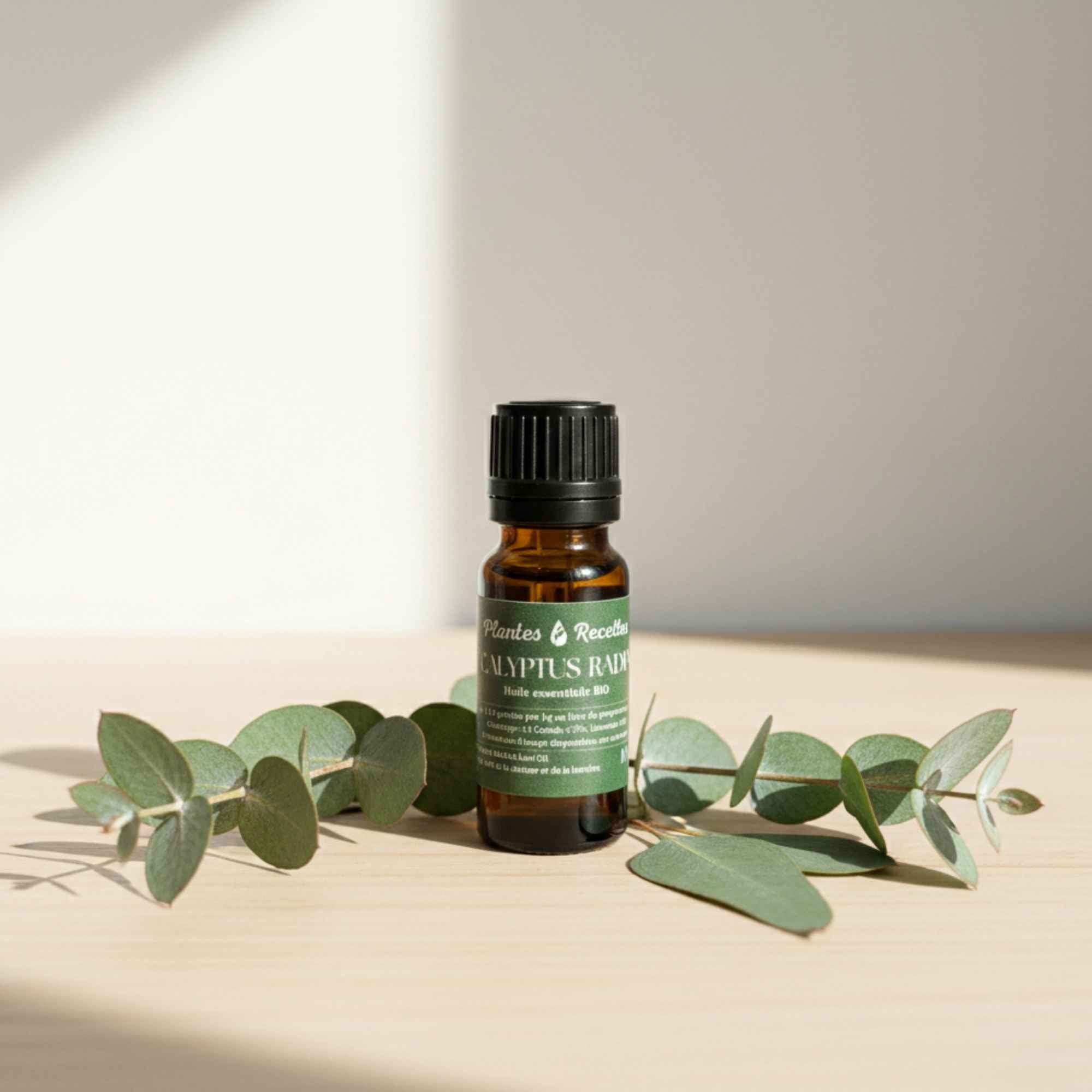 Flacon d’huile essentielle d’Eucalyptus radiata bio, 100 % pure et naturelle, Plantes & Recettes