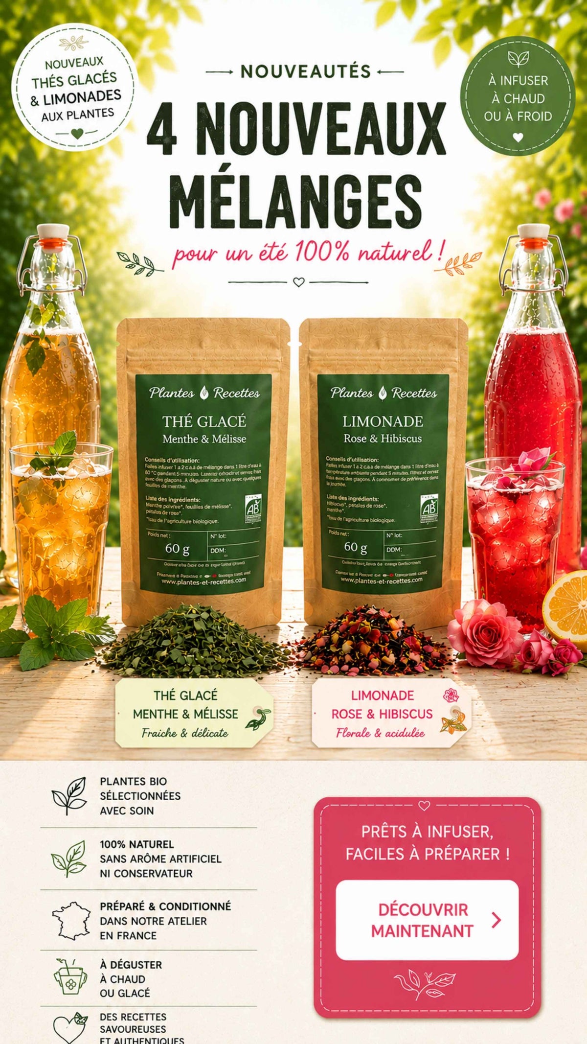 Découvrez les nouvelles boissons naturelles Plantes & Recettes : thés glacés et limonades aux plantes bio à infuser, préparés avec des ingrédients 100 % naturels pour un été plein de fraîcheur.