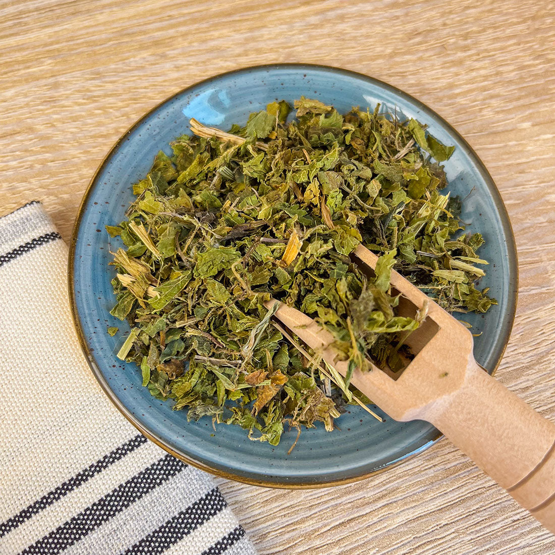 Ortie Bio - Les bienfaits et utilisations de Urtica dioica