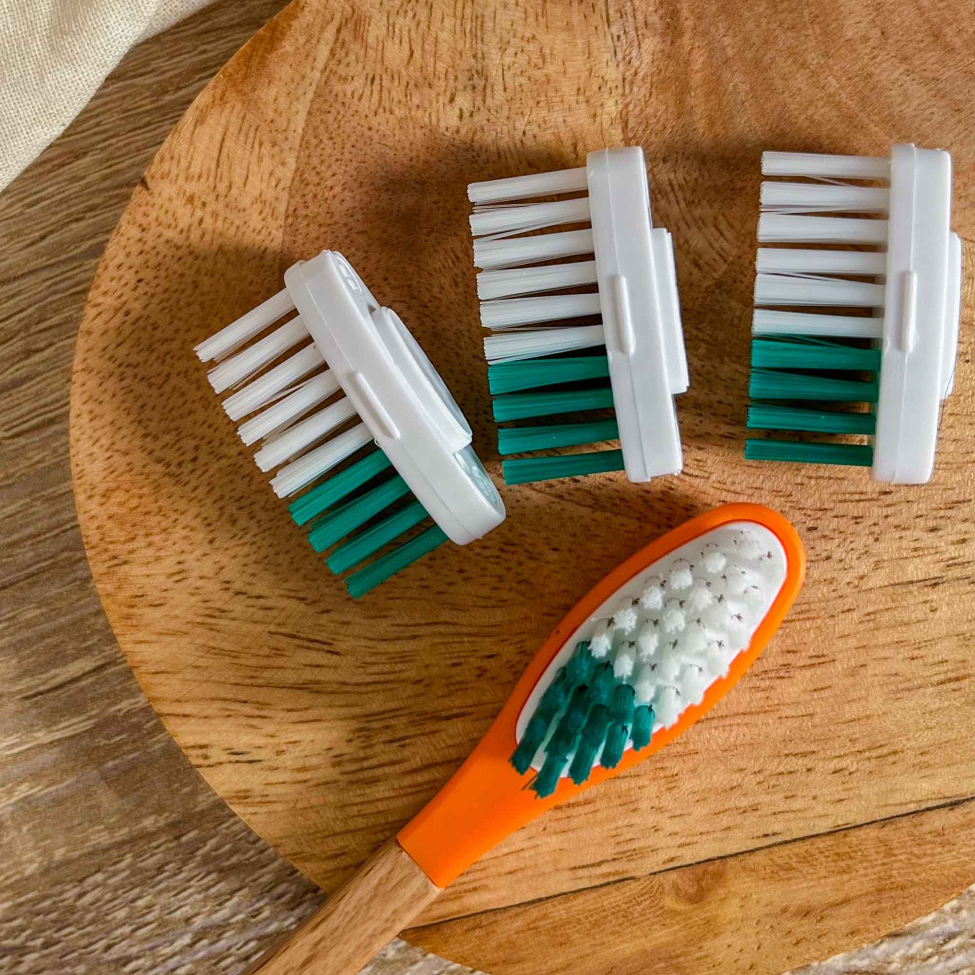 Embout remplaçable écoresponsable pour brosse à dents.