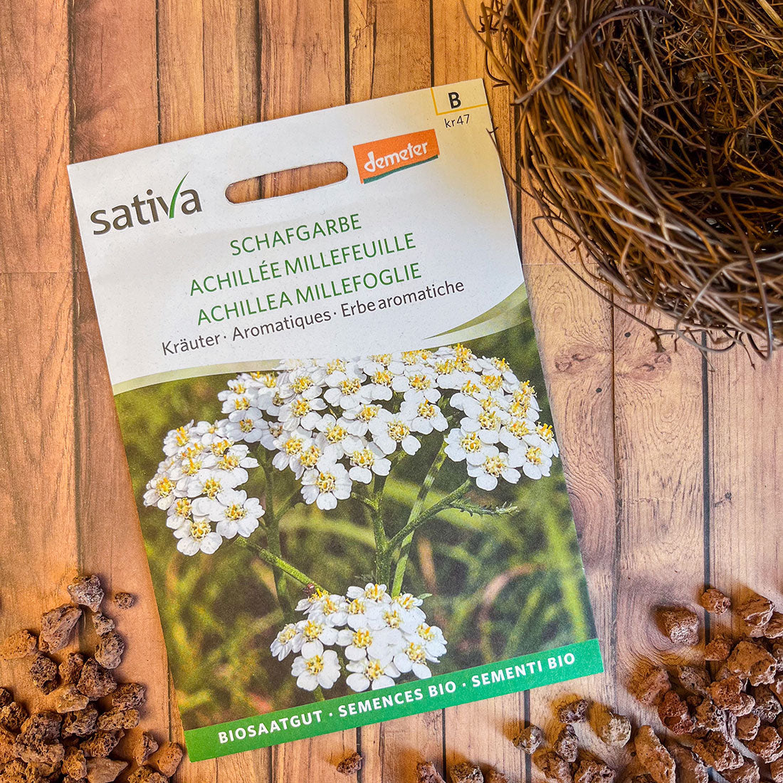 Semences Bio d’Achillée Millefeuille – Fleurs Blanches et Feuilles Découpées