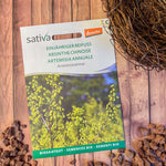 Semences Bio d’Artémisia Annua – Plante Médicinale et Mellifère