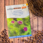Semences Bio de Bardane – Plante Rustique et Polyvalente