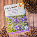 Semences Bio de Bourrache – Fleurs Comestibles et Jardin Mellifère