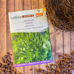 Semences Bio de Livèche – Plante Vivace et Saveur Puissante