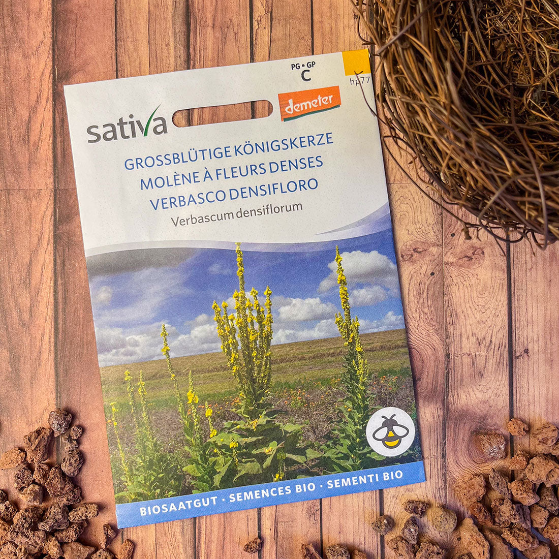 Semences Bio de Molène – Verbascum Densiflorum, Plante Sauvage
