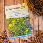 Semences Bio de Pissenlit – Feuilles Tendres et Fleurs Comestibles