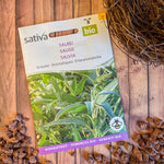 Semences Bio de Sauge – Feuillage Persistant et Saveur Intense